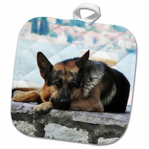 3dRose, German Shepherd. The smartest dog., 8x8 Potholder