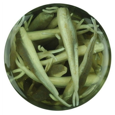 UPC: 0028632259245 | Berkley Gulp! Alive! Minnow Fishing Soft Bait