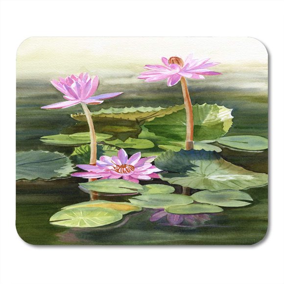 Lily Pad Watercolor Lily Pad Watercolor