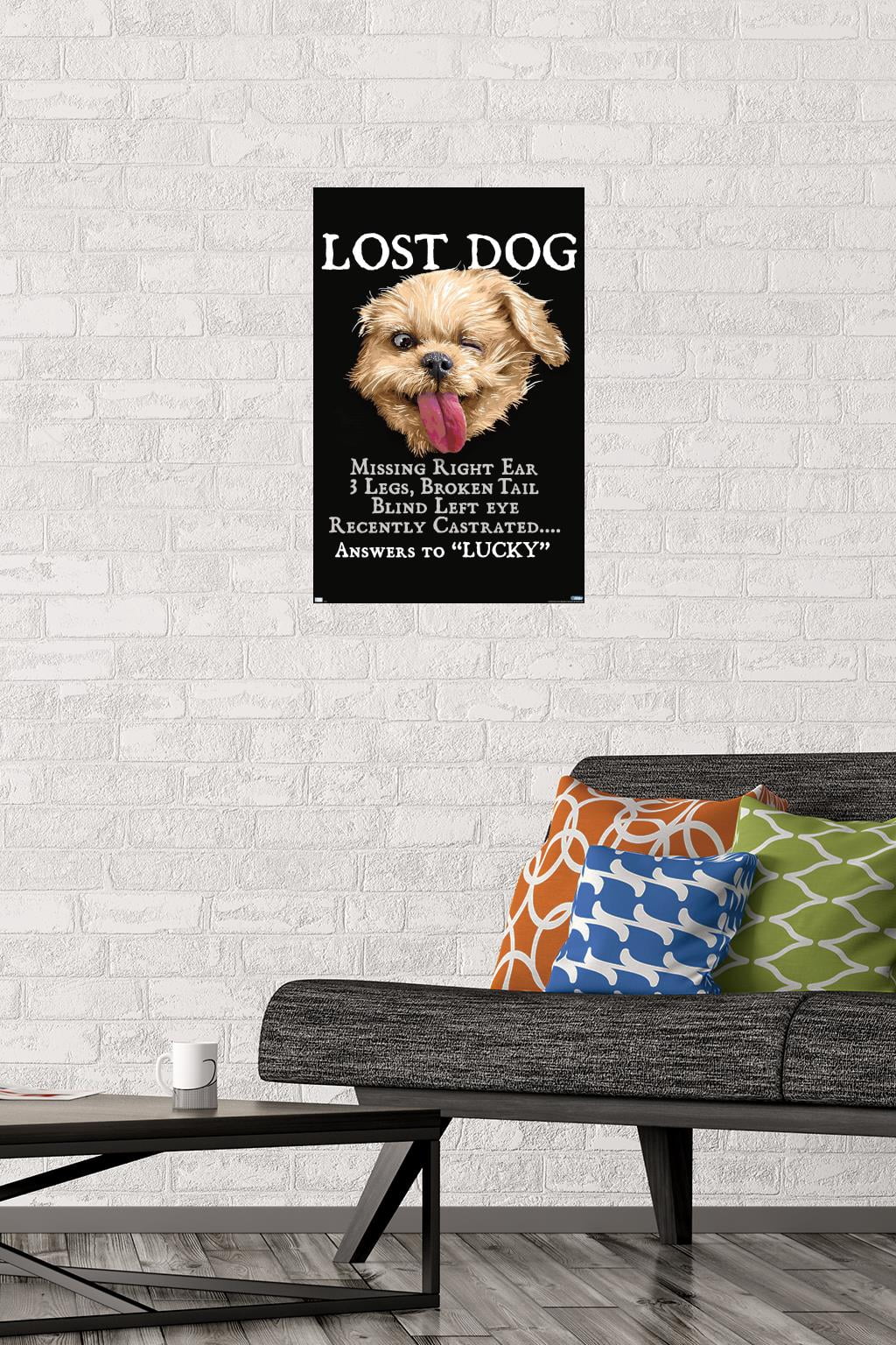 Jim Baldwin - Lost Dog Wall Poster, 14.725" x 22.375"