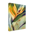thumbnail image 3 of Trademark Art "Bird of Paradise" Canvas Wall Art by Shelia Golden, 3 of 5