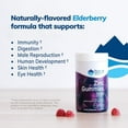 thumbnail image 3 of Trace Minerals | Zinc Chewable Gummies | Natural Immune Support Booster for Adults and Kids | Vegan, Gluten Free, Non-GMO | Elderberry Flavor | 30mg of Servings, 1 Pack, 3 of 6