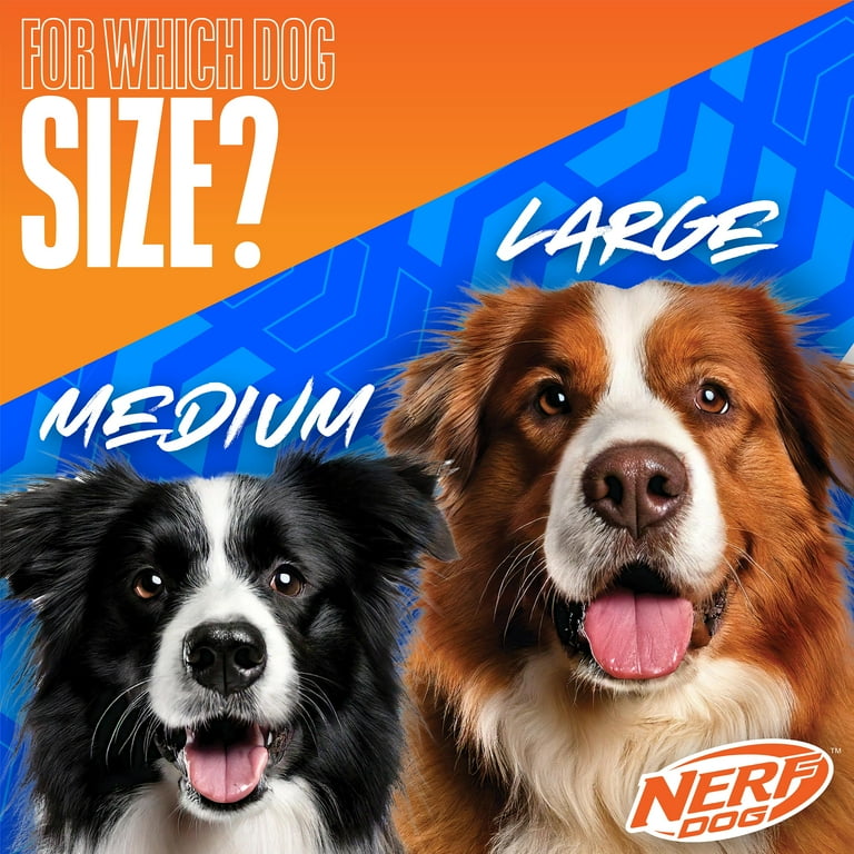 Nerf Dog 10-inch Rubber Flyer Toy Frisbee for Large Pets, Tug War
