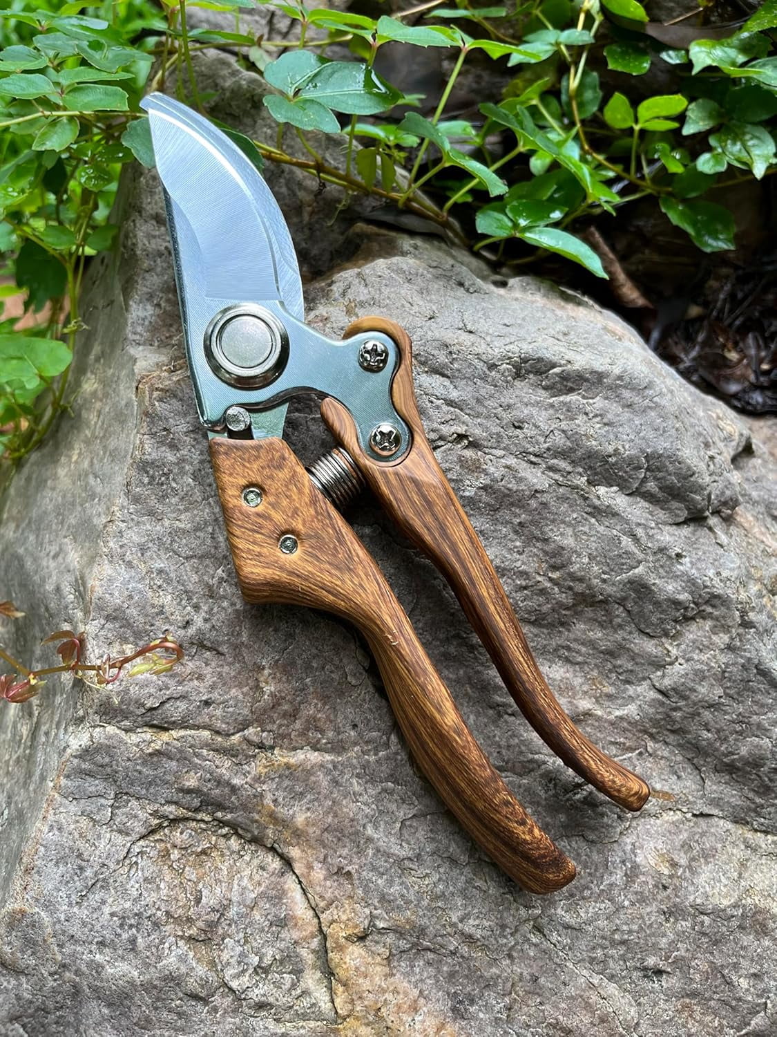 Garden Pruning Shears, Floral wire cutter, German Stainless Steel Blades, 1 inch Cut Capacity, Snips for flowers with Non-Slip Handle, Lightweight & Ergonomic Professional