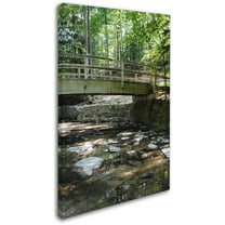 Trademark Fine Art "Amicable Escape" Canvas Art by Monica Fleet