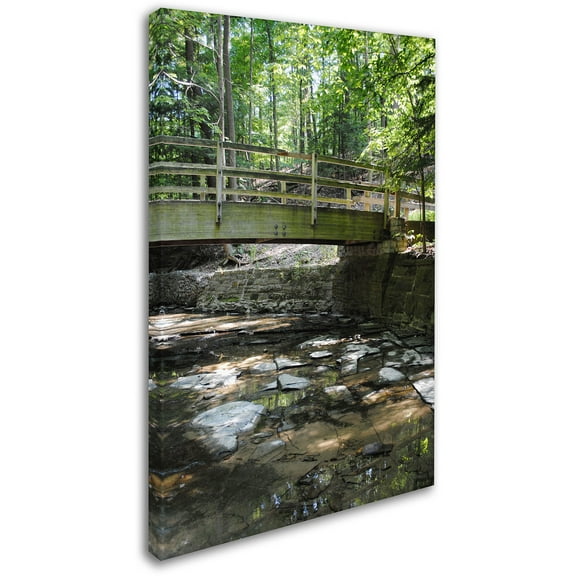 Trademark Fine Art "Amicable Escape" Canvas Art by Monica Fleet