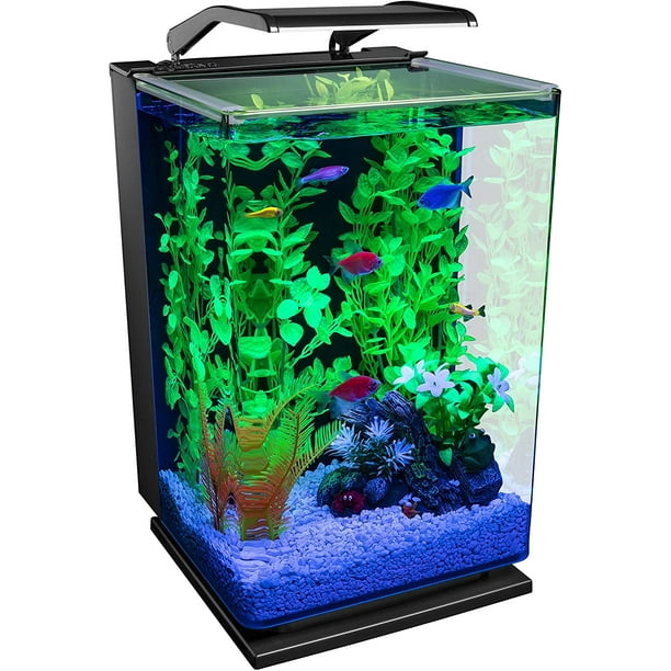 Aquarium Kit 5 Gallons, Includes Hinged Cycle Light and Hidden Filtration