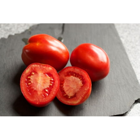 Girl Hybrid Tomato - Tomato San Diego - Hybrid Great Garden Vegetable 10 Seeds