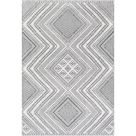 BoutiqueRugs Queanbeyan Bohemian, Transitional Area Rug - Black, White, Gray - 2' x 2'11"