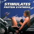 thumbnail image 7 of EHP Labs L Glutamine Powder Amino Acids - L-Glutamine, Workout Recovery, Immune Health & Gut Health Support (500g) - 100 Servings, 7 of 7