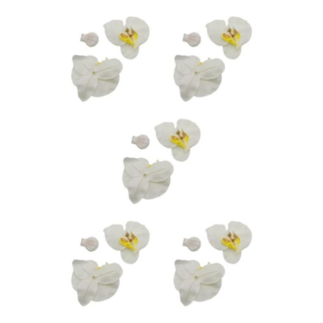 Orquídeas artificiales Wosthever 50 pack/lote pétalos de orquídeas artificiales blanco