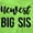 Key Lime, variant on Newest Big Sis Sisters Older Sibling Youth T Shirt Tee Girls Infant Toddler Brisco Brands 12M