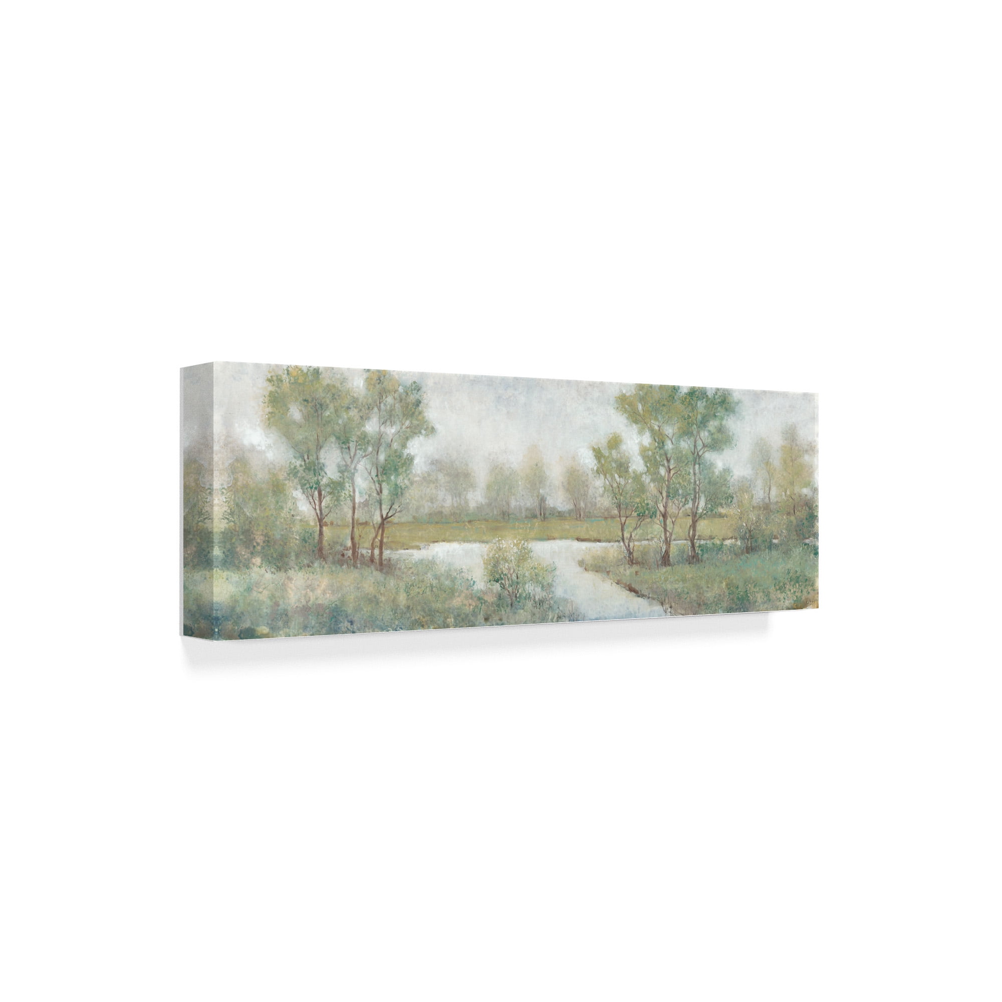 Trademark Fine Art 'Field And Stream' Canvas Art by Tim OToole