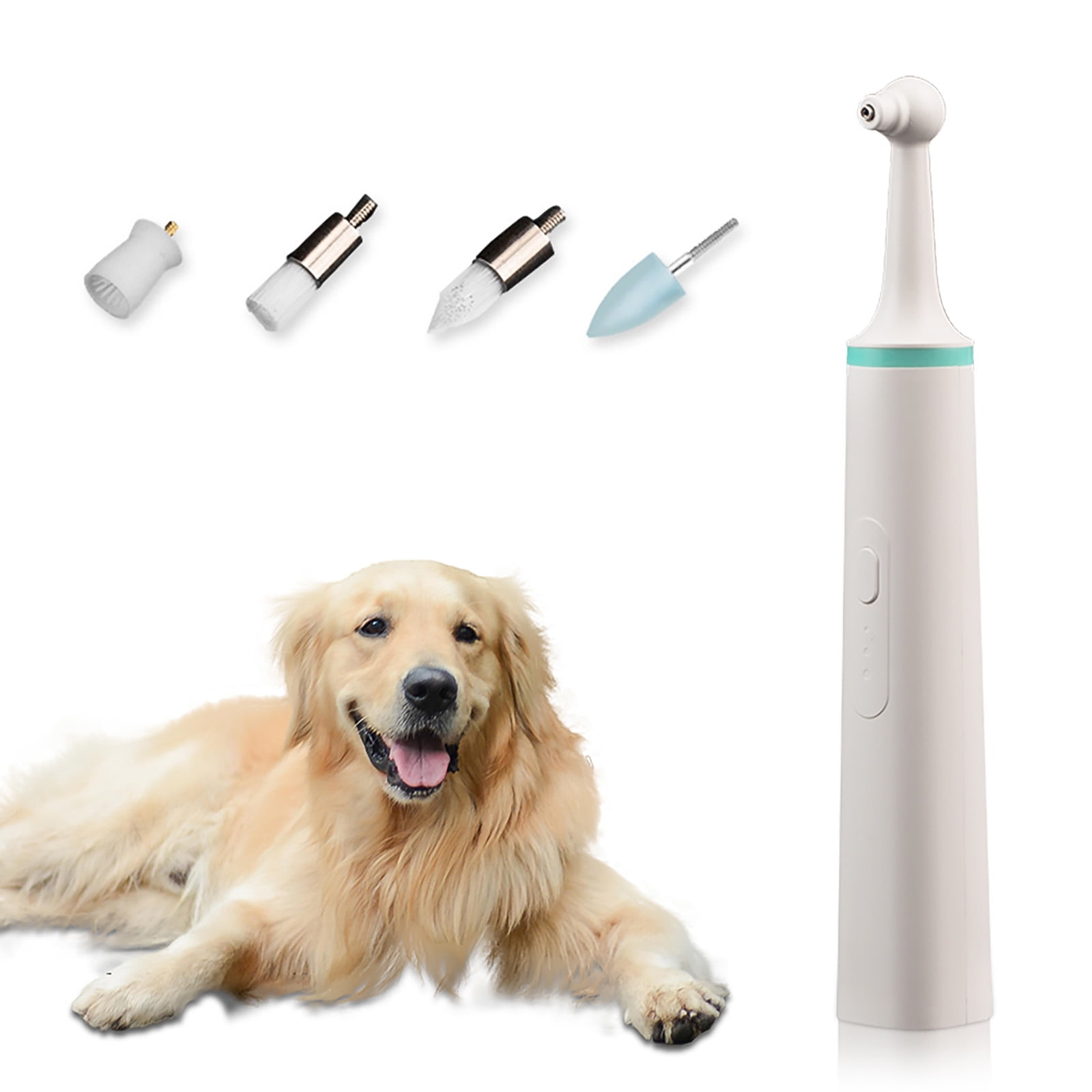 ACCEDE Electric Teeth Polisher Pet Teeth Stain Teeth Polisher, Dog