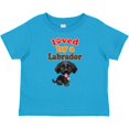 thumbnail image 3 of Inktastic Labrador Retriever Dog Black Lab Boys or Girls Baby T-Shirt, 3 of 5