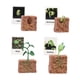 thumbnail image 2 of Juguetes de ciclo de vida Montessori, figuras educativas de biología y crecimiento animal Crecimiento de la planta, 2 of 9
