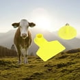 thumbnail image 1 of Livestock Identification Tags, 100 Sets Multi Purpose Livestock Ear Tags Pure Yellow  For Country, 1 of 8