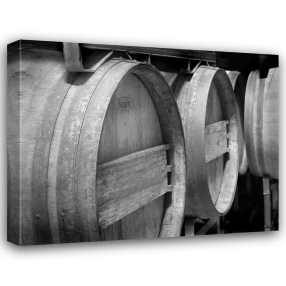 Scott Larson 34x28 Gallery Wrapped Canvas Wall Art Titled - Winery IV