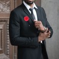 thumbnail image 2 of 16pcs Elegant Men Suit Brooch Flower Modeling Brooch Collar Decor Accessory, 2 of 7