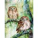 thumbnail image 1 of EverShine Diamond Painting Full Square Owl Cross Stitch Diamond Mosaic Animal Bead Embroidery Picture Rhinestone Wall DecorationRound Drill 50x40cm Gao Jinjia LED, 1 of 2