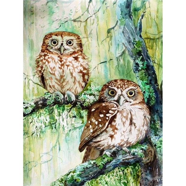 EverShine Diamond Painting Full Square Owl Cross Stitch Diamond Mosaic Animal Bead Embroidery Picture Rhinestone Wall DecorationRound Drill 50x40cm Gao Jinjia LED