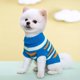 thumbnail image 5 of Ropa para mascotas Ropa para gatos de punto de lana multicolor Suéter casual para mascotas con solapa multicolor de dos patas Ropa de lujo para perros Ropa para mascotas, 5 of 5