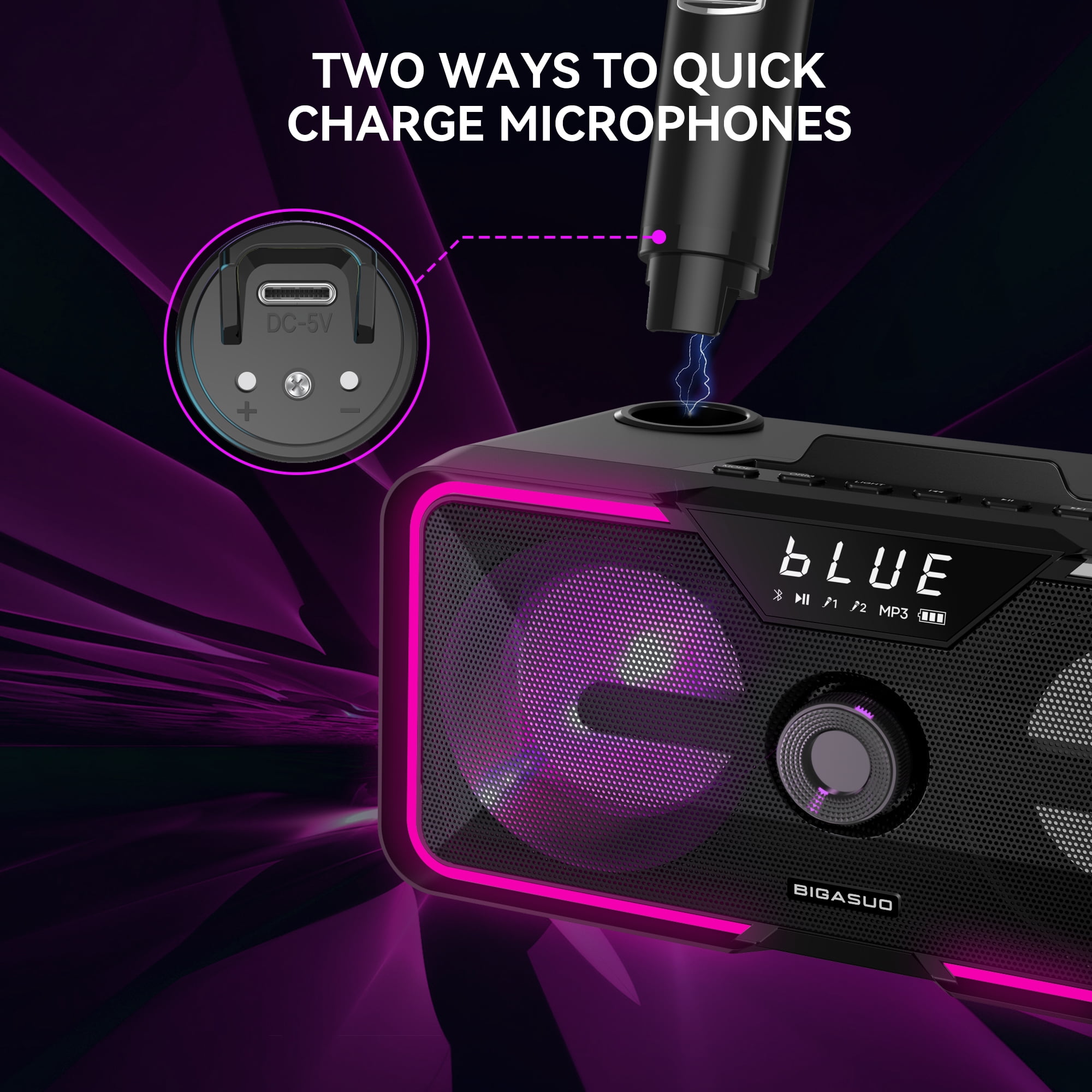 BIGASUO Karaoke Machine, Portable Bluetooth Speaker with 2