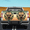 Style 2, variant on Lotusprinthandmade Highland Cow Tailgate Wrap 2 Sizes (24"x58"), highland cow tailgate design, highland cow animal tailgate wrap