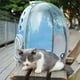 thumbnail image 5 of Wdftyju Portador de viaje para mascotas Cápsula espacial transparente Gato Burbuja Mochila (Azul) Wdftyju 5nm6br1jf2uh9ur5D05, 5 of 9