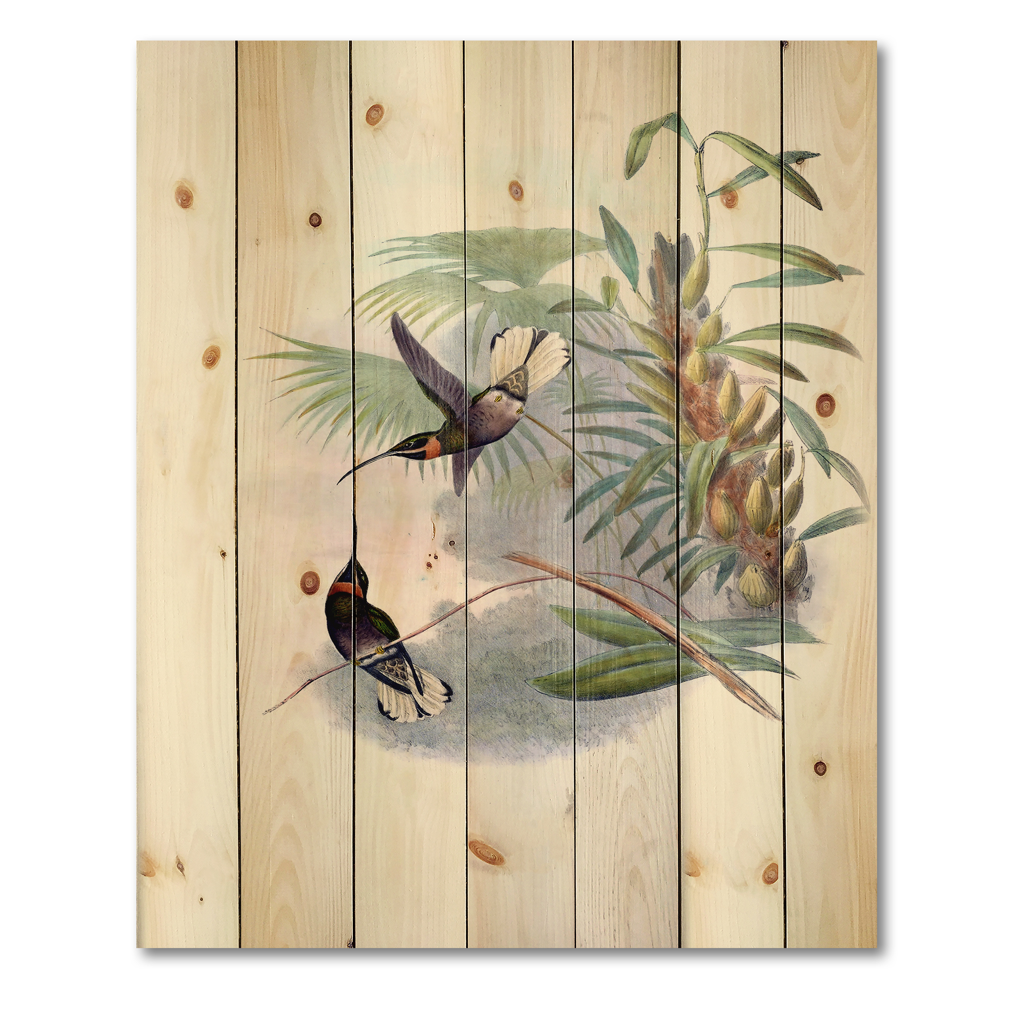 Designart 'Ancient Hummingbird On A Branch' Traditional Print on Natural Pine Wood