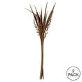 thumbnail image 6 of Vickerman 36" Natural Bahia Spears with Seeds, 2 pack, Dried, 6 of 6