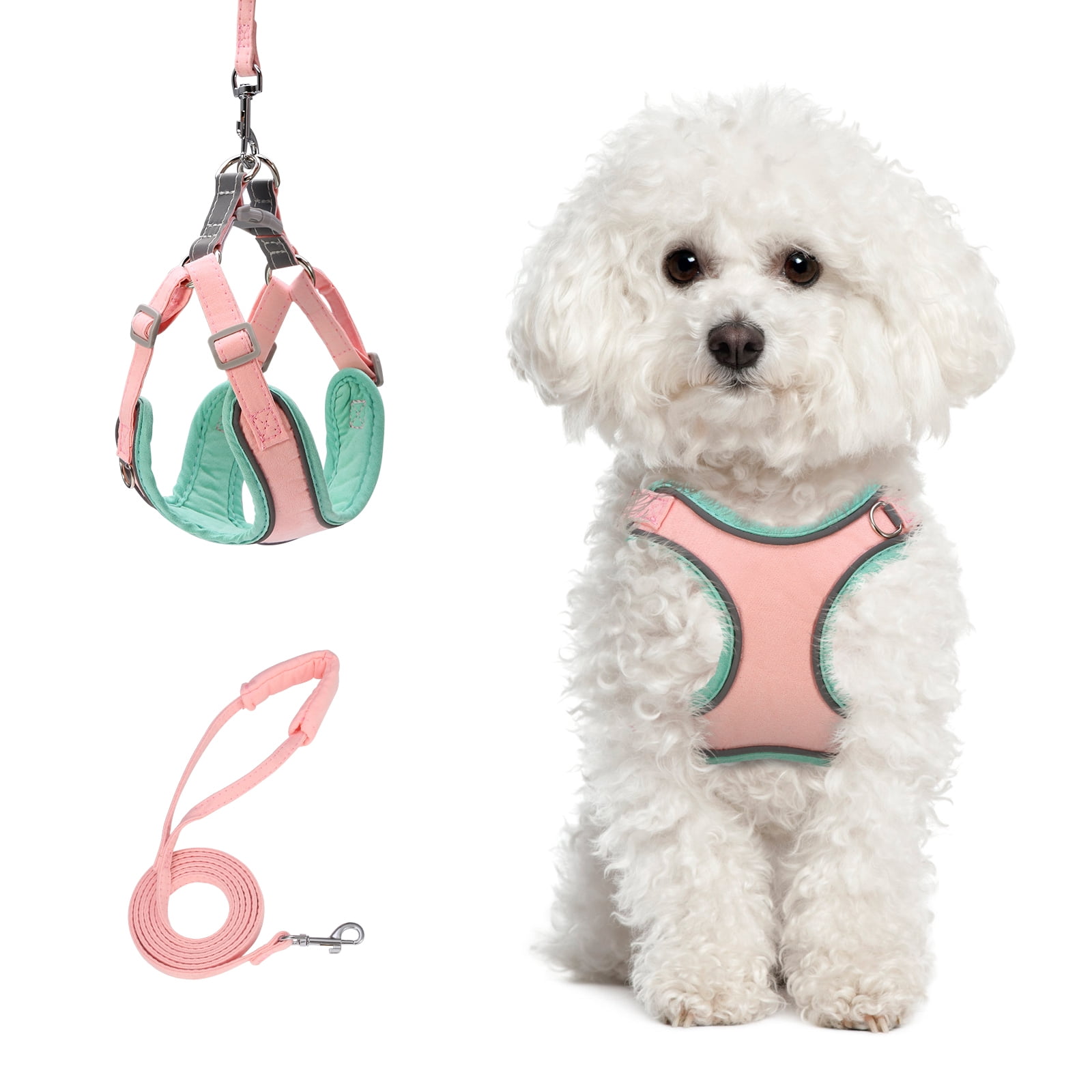 Puppy Harness and Leash Set Dog Vest Harness for Small Dogs Medium Dogs Adjustable Reflective