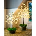 thumbnail image 5 of Indoor/Outdoor Electric Lighted Faux Dogwood Tree 6' Tall, 5 of 6