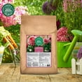 thumbnail image 4 of GAIA GREEN Organics Power Bloom Plant Food Root Developer Supplement, 10 kg, 4 of 6
