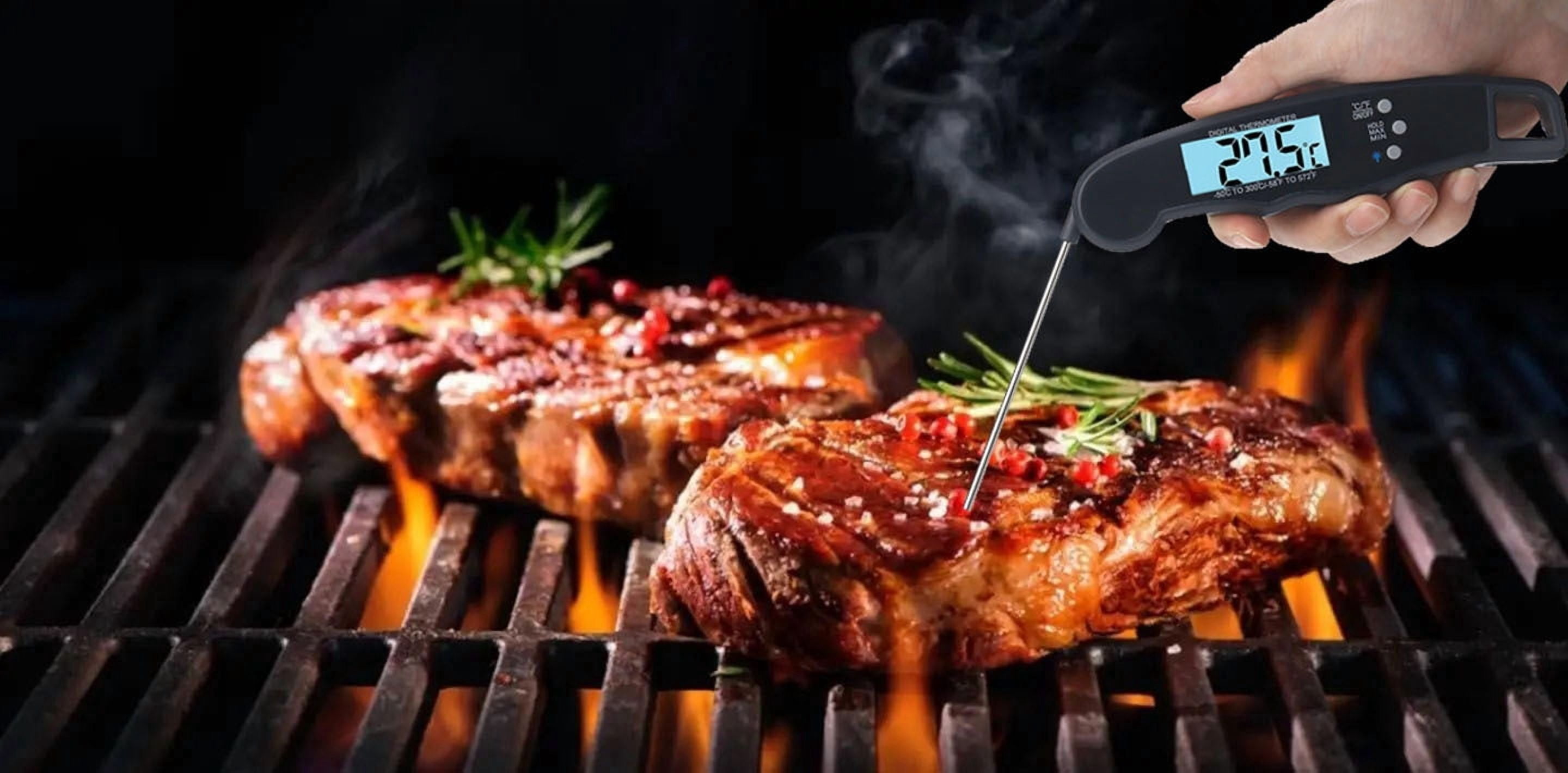 LAATIKUI Meat thermometer food grill measurement waterproof probe thermometer