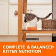 thumbnail image 5 of Iams Proactive Health Healthy Kitten Dry Cat Food With Chicken, 3.5 Lb Bag, 5 of 9