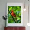 thumbnail image 2 of Diamond Art Kits for Adults - 5d Red Bird Perched Greenery Branch Diamond Painting for Adults, Diamond Art for Adults Beginners, Diamond Painting Kits for Adults for Home Wall Decor, 2 of 7