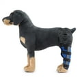 thumbnail image 2 of lionlar Attelle de Jambe pour Chien Compression Arrière Protecteur m, 2 of 7