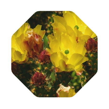 

Coaee Cactus Flowers Print Leather Coasters Set of 6 Non-Slip Washable Cup Coasters for Home Office Bar Octagon