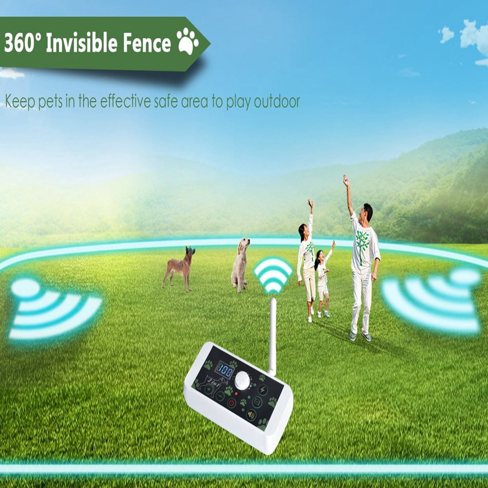 wireless dog fence at walmart