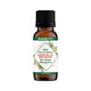MagniLife Essential Oil Diet Blend 100% Pure & Natural Therapeutic Grade Frankincense (Boswellia Serrata), Myrrh & Cinnamon (Cassia) Stimulating Aromatherapy - Quick-Absorbing Topical - .33