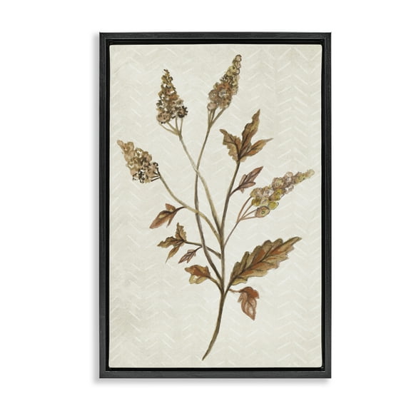 Stupell Industries Neutral Garden Botanics Botanical & Floral Painting Black Floater Framed Canvas Art Print Wall Art, 17 x 25