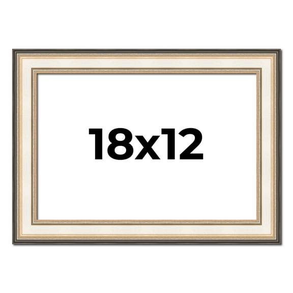18x12 Frame Gold Silver Plein Aire 2" Inch Wide Moulding Solid Wood Picture Frame | Modena
