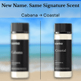 thumbnail image 2 of Scentia Coastal – 5-Star Inspired Fragrance Diffuser Oil 20 ml (0.67 fl oz) – Inspired by The Ritz-Carlton – Ocean Breeze, Jasmine & Lemon Oil for Cold-Air and Ultrasonic Diffusers – Formerly Cabana, 2 of 9