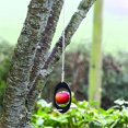 thumbnail image 2 of Hummingbird Fruit Feeder Outdoor Art Black Hanging Bird Feeder Wooden Garden Oval Wild Bird Feeder for Bird Watching, 2 of 5