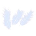thumbnail image 3 of 50pcs Genuine Turkey Feathers for DIY Craft Wedding Home Party Decorations （Blue）, 3 of 7
