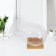 thumbnail image 4 of 1 Set Clear Glass Terrarium Bowl For Succulent Plants Decorative Centerpiece For Home And Weddings Transparent Plant Container Bottle Planter, 4 of 9