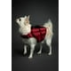 thumbnail image 3 of Chaleco salvavidas para perros NOAH & PAW XS 3X con soporte de espuma transpirable, 3 of 9