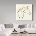 thumbnail image 3 of Trademark Fine Art 'Gilded Filly' Canvas Art by Chris Paschke, 3 of 3