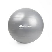 Exercise Ball Gray 29.5" (75cm) Core Stability Strengthening Extra Thick Heavy Duty Anti-Burst Birthing Yoga Ball Chair (Office - Home - Gym) Large